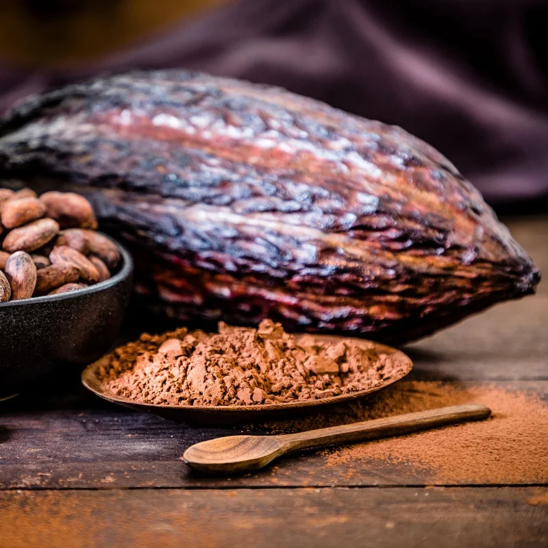 Close-up of cacao beans and chocolate used during WAVE’s Safari Float & Chocolate Tour in Costa Rica
